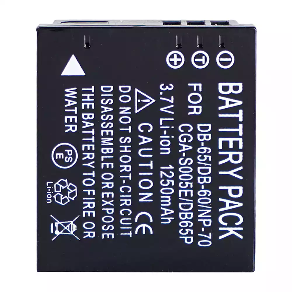 Replacement camera battery for Ricoh Caplio R3 Ricoh Caplio R4 Ricoh Caplio R5 Ricoh Caplio R30 Ricoh WG-M1