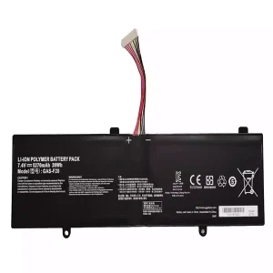 Genuine laptop battery for GAS-F20